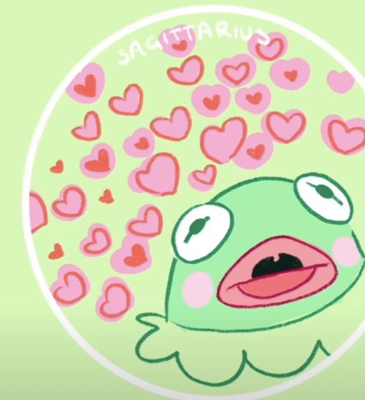 @frogsocks2376